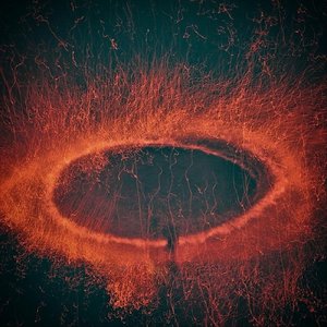 mecanismos para conciliar el sueño (demo)