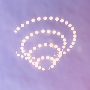 Orbiters