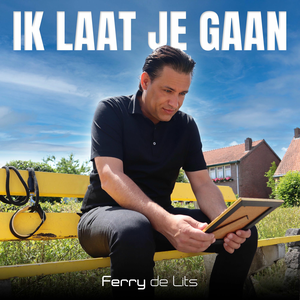 Artwork for IK LAAT JE GAAN