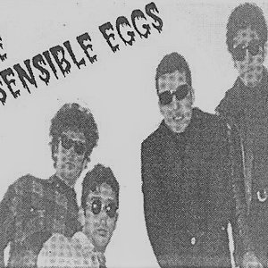 Image for 'THE INSENSIBLE EGGS'