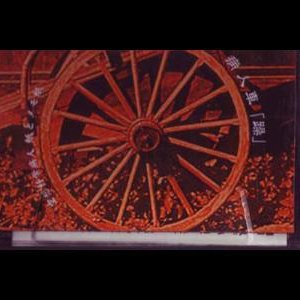 病人車「躁」