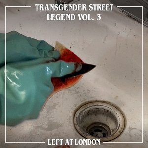 “Transgender Street Legend, Vol. 3”的封面