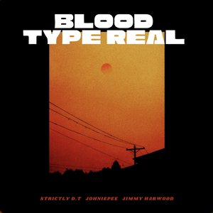 Blood Type Real (feat. Jimmy Harwood & Johniepee) - Single