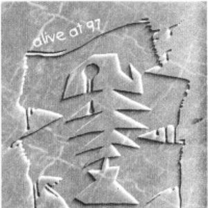 “Die Nematoden”的封面