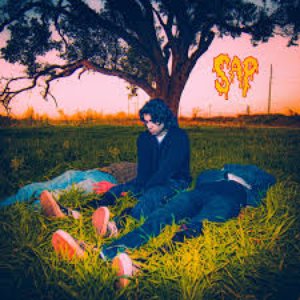 Bleed In The Sun - Single