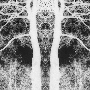 Haudanväki - Single