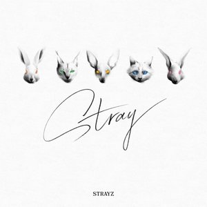 Stray - Single