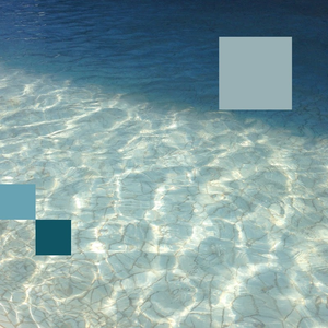 Detroit Swindle - Can