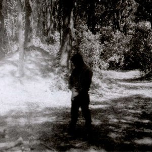 Wrapped in pale 的头像