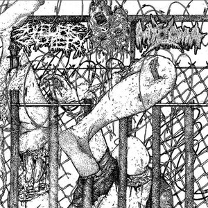 MYXOMA SPLIT - EP