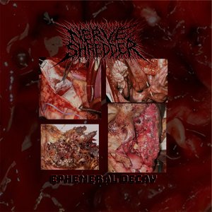 Ephemeral Decay