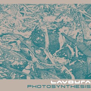 Photosynthesis