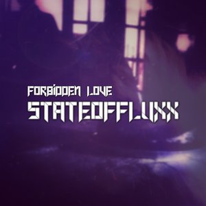 Image for 'StateOfFluxx'