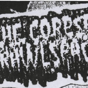 The Corpse in the crawlspace 的头像