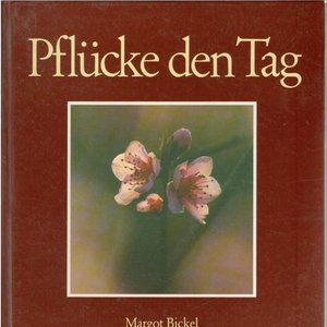 Margot Bickel 的头像