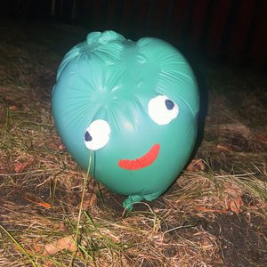 Paddywagon