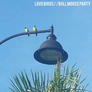 Love Birds