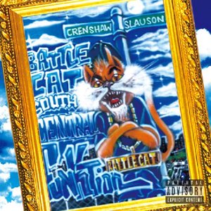 South Central Funktion