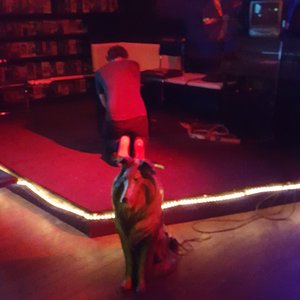 Kapali Carsi 的头像