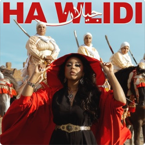 Artwork for Ha Wlidi