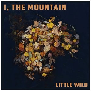 Little Wild