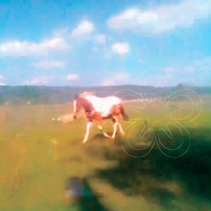 Odinokaya [Explicit]