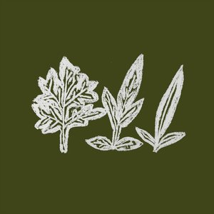 Variation of Weeds