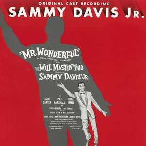 MR. Wonderful