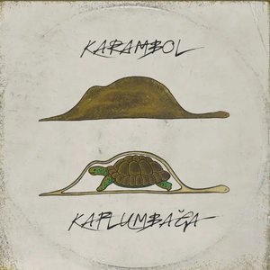 Kaplumbağa