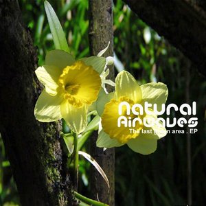 natural airwaves 的头像