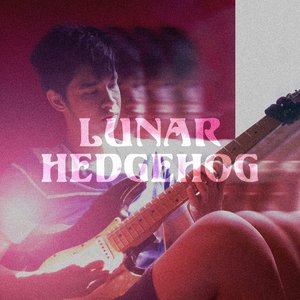 Lunar Hedgehog 的头像