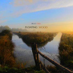 Floating Wood