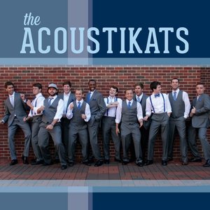 The Acoustikats