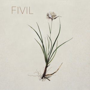 Fivil