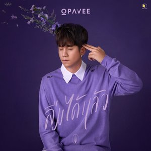 ลืมได้แล้ว - Single