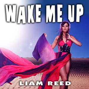 Wake Me Up