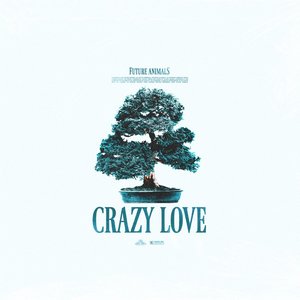 Crazy Love - Single