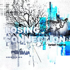 Brief Highs [Explicit]