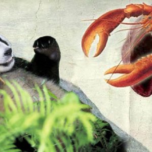 Collidoscope 的头像
