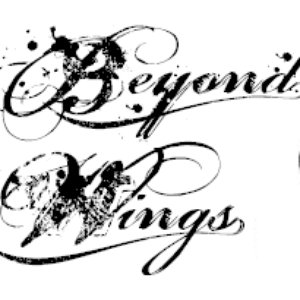 Beyond Wings 的头像