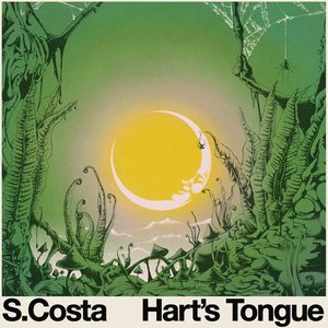 Hart's Tongue