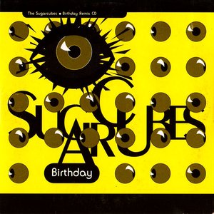 Birthday Remix CD