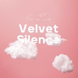 Velvet Silence