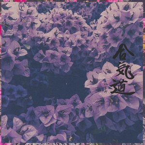Zō