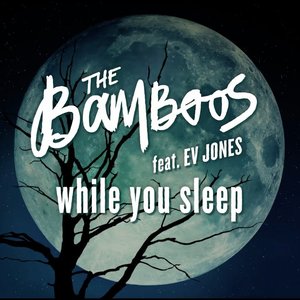 While You Sleep (feat. Ev Jones)