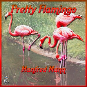 Pretty Flamingos