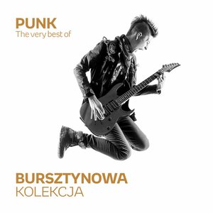 Bursztynowa Kolekcja (The Very Best of Rock)