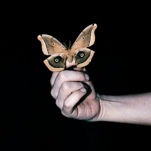 All Systems Are Lying / Run Free