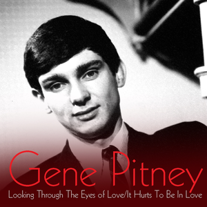 Follow The Sun Gene Pitney Lyrics Song Meanings Videos Full Albums Bios