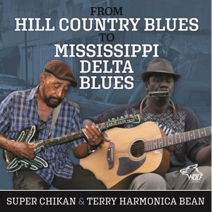 From Hill Country to Mississippi Delta Blues